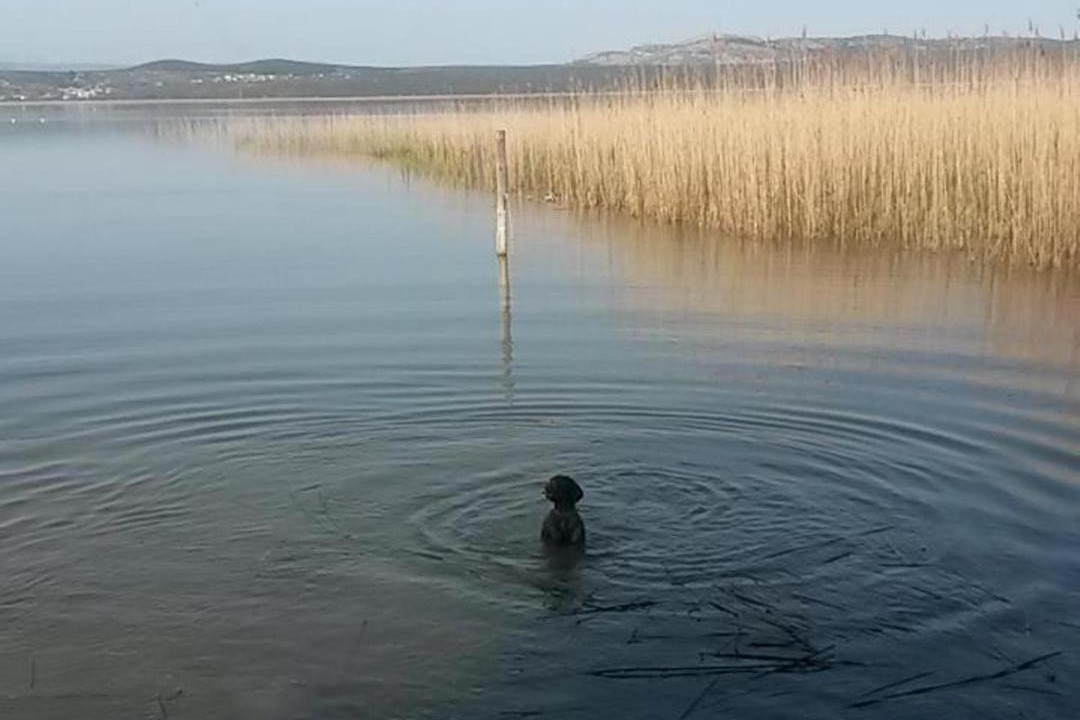 Photo of Outdoor in Pakostane