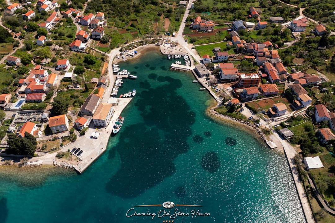 Photo of Others in Luka
