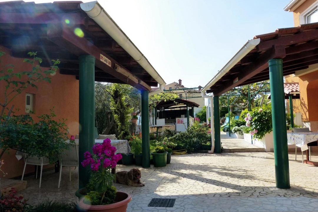 Photo of Others in Vinkuran