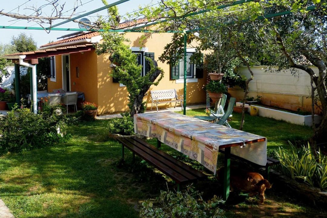Photo of Others in Vinkuran