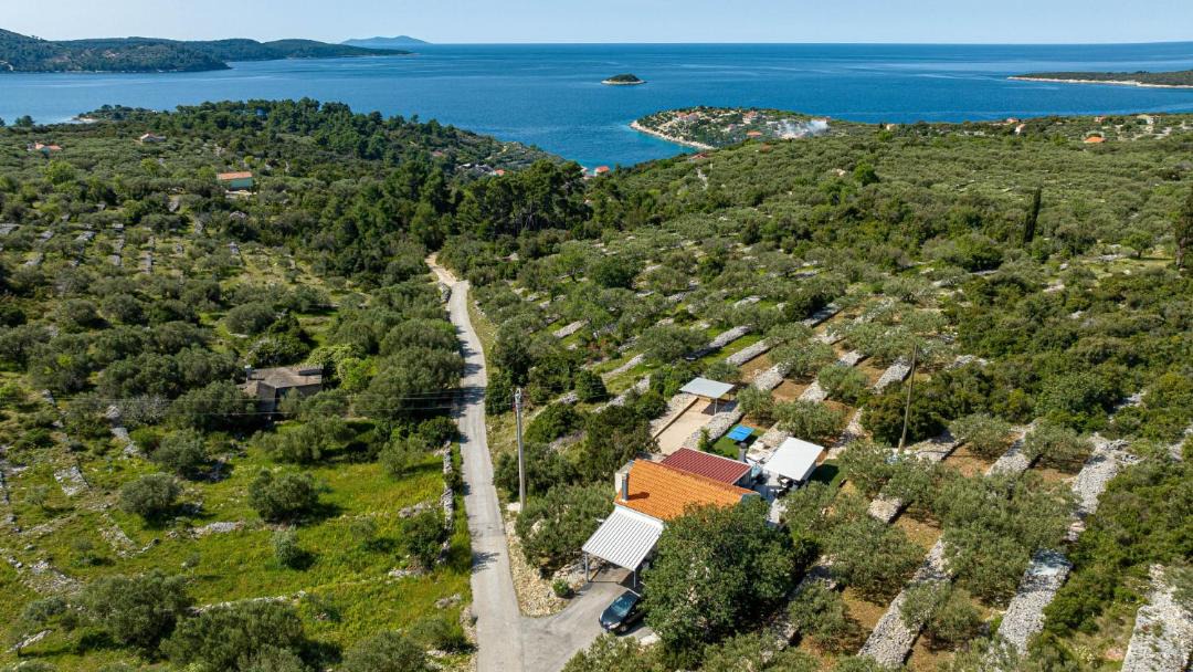 Photo of Others in Vela Luka