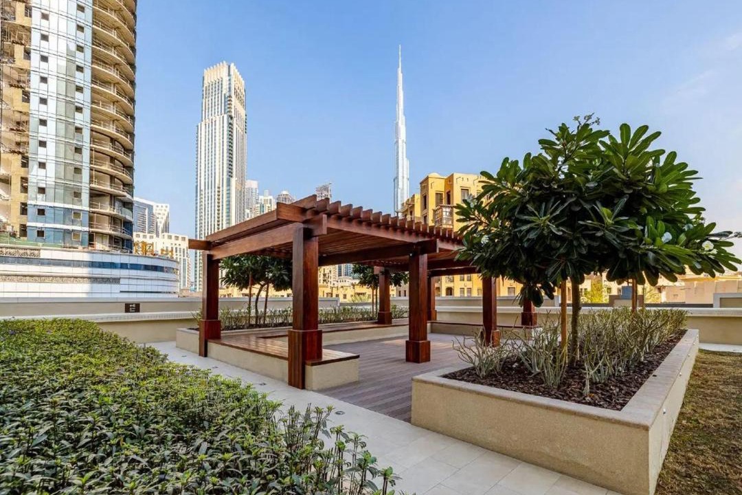 Photo of Others in Madinat Zayed