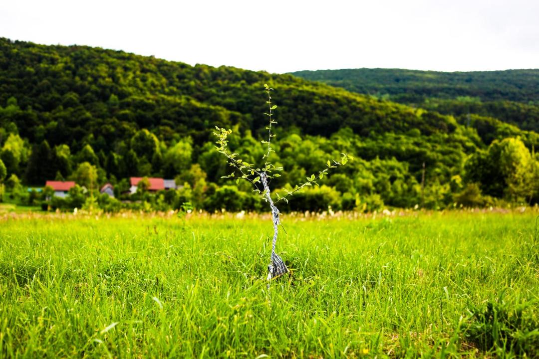 Photo of Others in Seliste