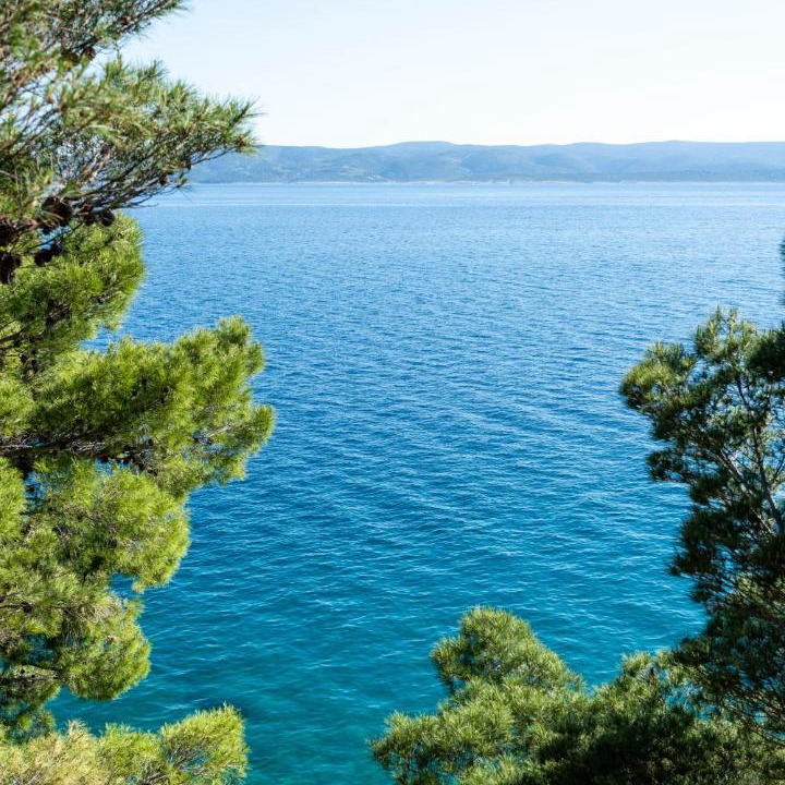 Photo of Others in Marusici