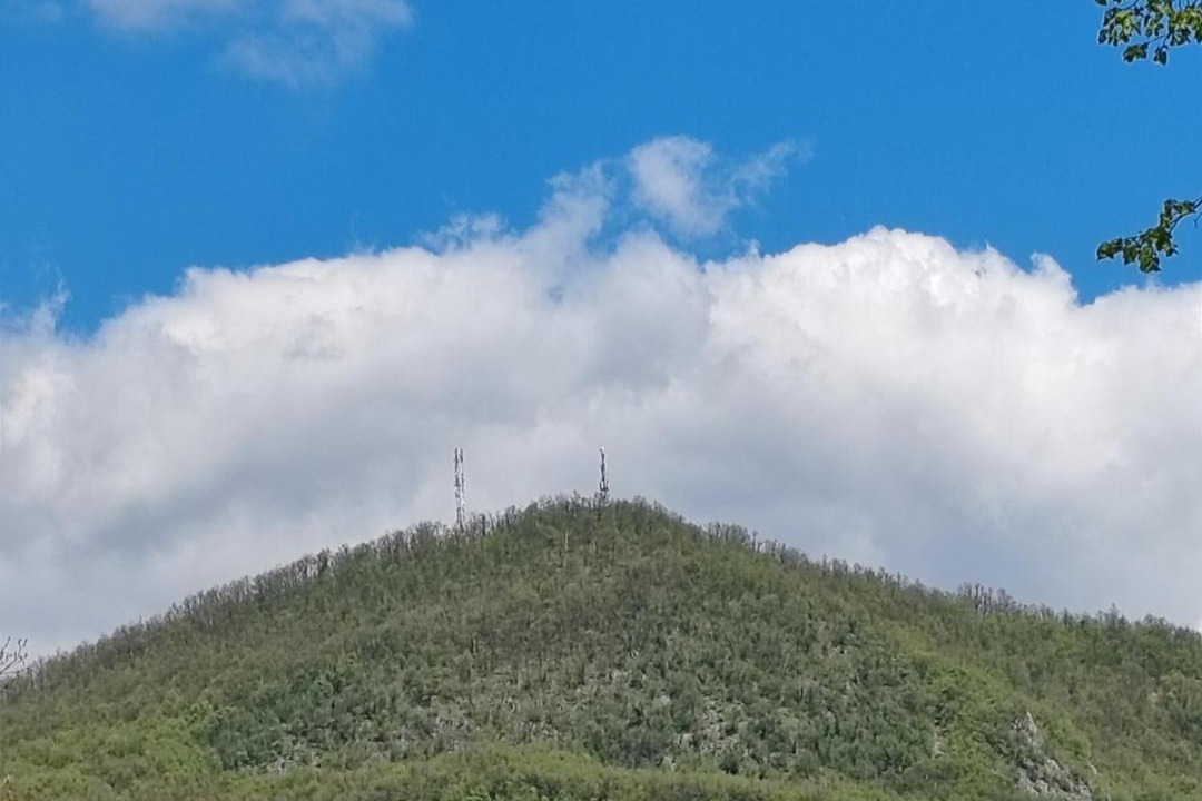 Photo of Others in Berkovac