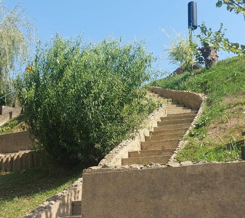Photo of Others in Petrinja