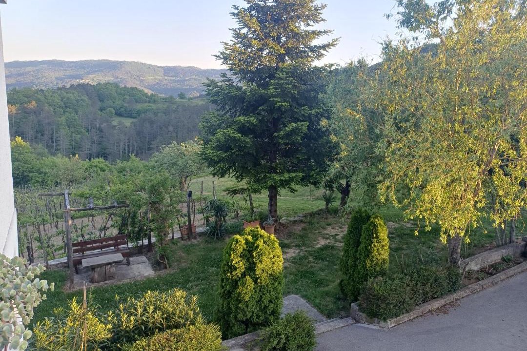 Photo of Others in Buzet
