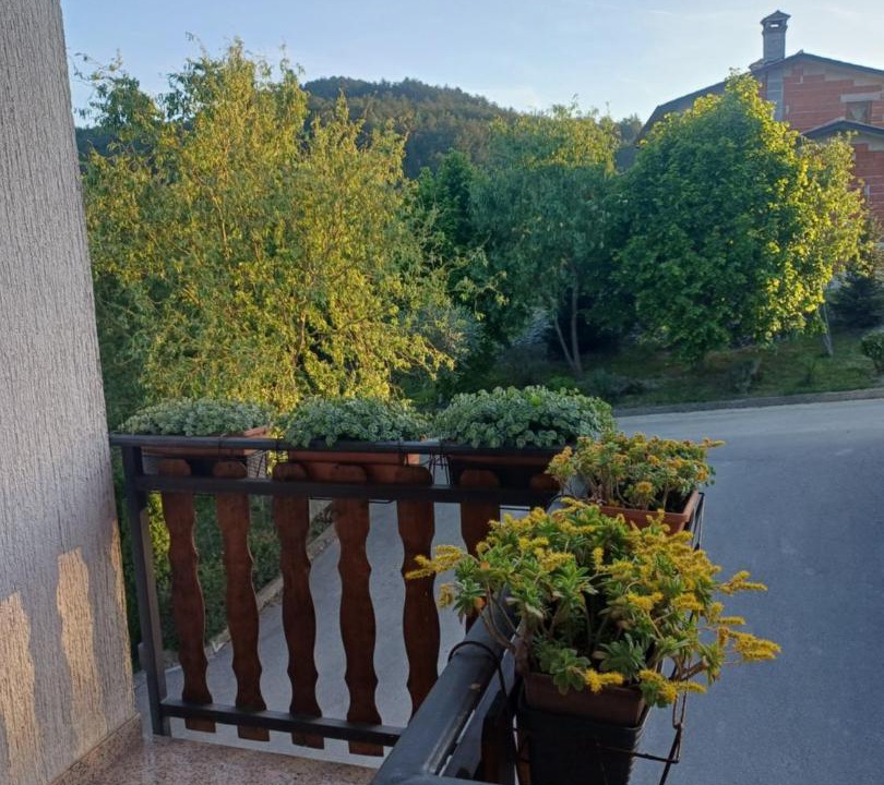 Photo of Others in Buzet