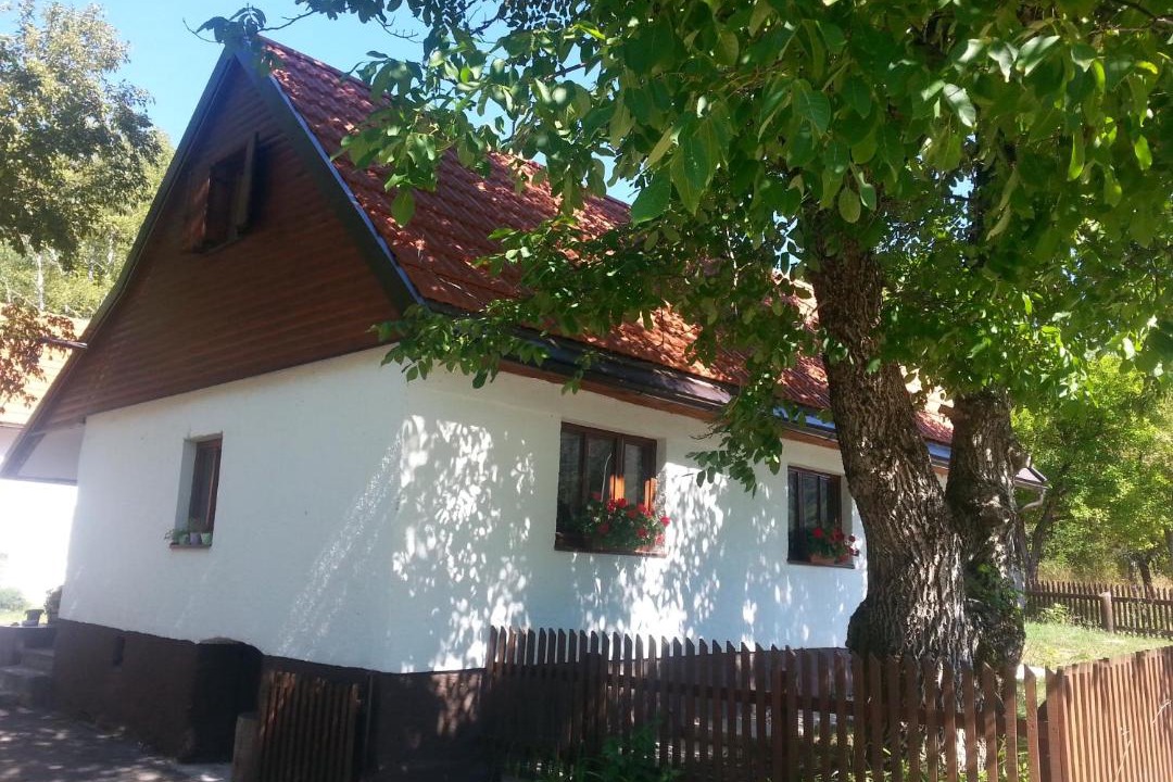 Photo of Others in Brusane