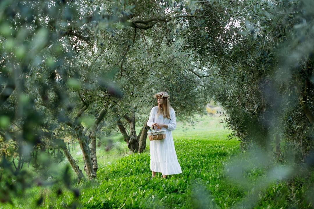 Photo of Others in Sveti Bartol