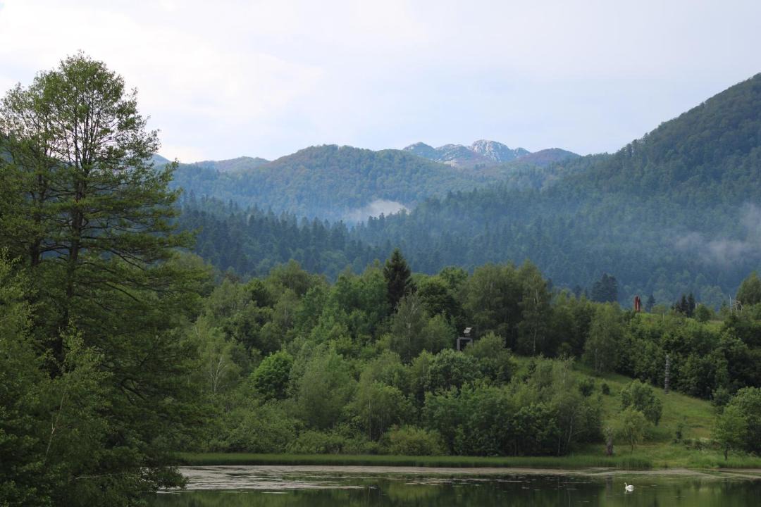 Photo of Others in Mrzla Vodica