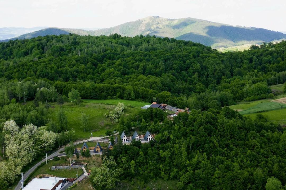 Photo of Others in Bosnia