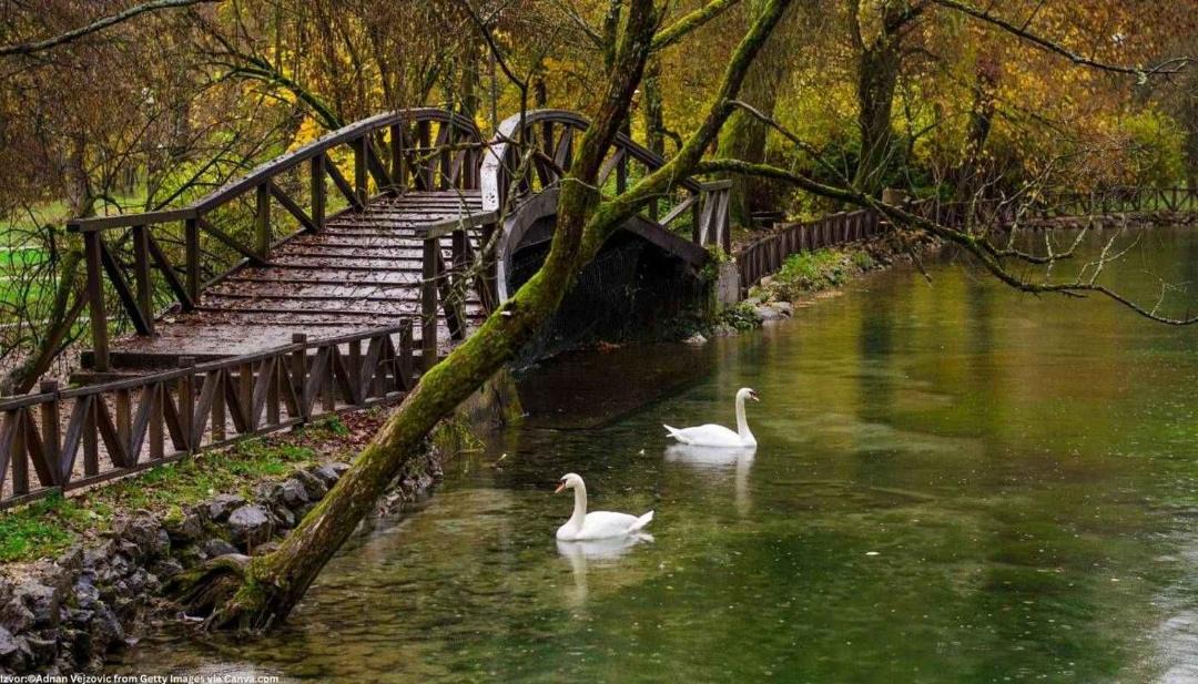 Photo of Others in Zenica-Doboj Canton