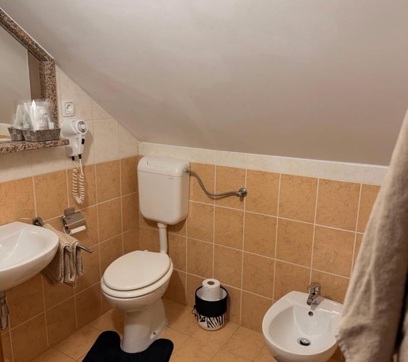 Photo of Bathroom in Varazdin