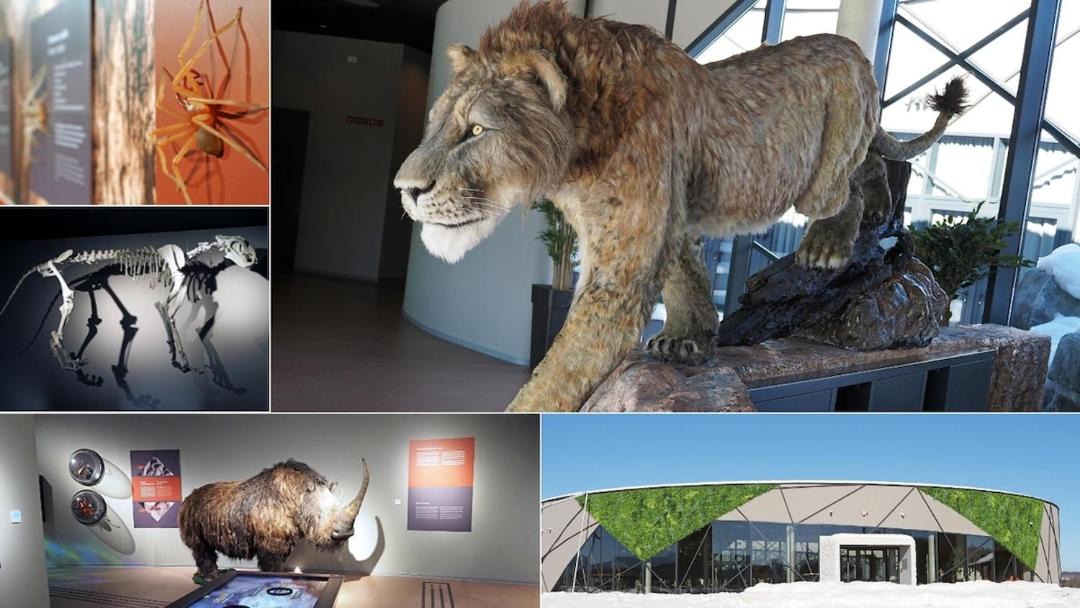 Photo of Others in Poljanak