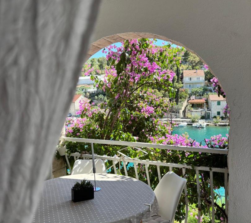 Photo of Others in Bobovisca