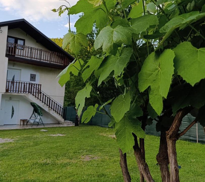Photo of Others in Jajce