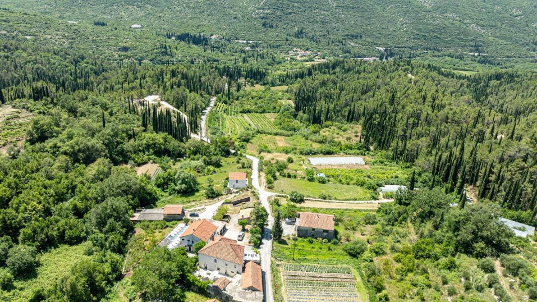 Photo of Others in Konavle