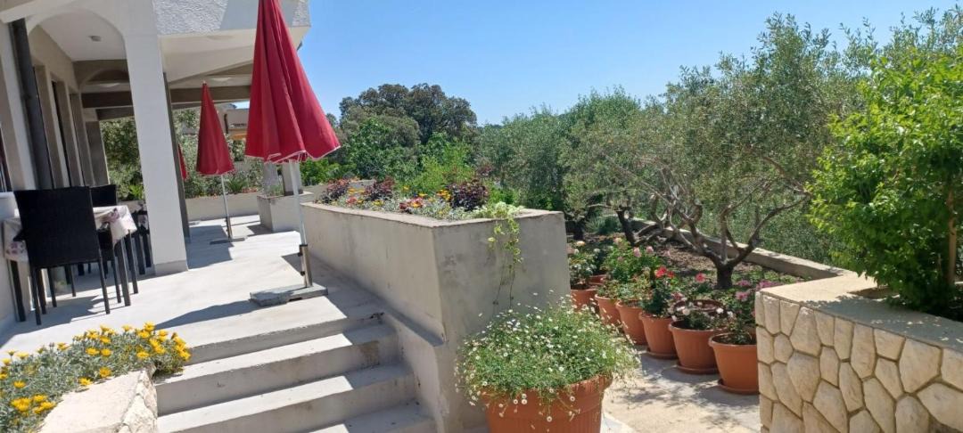 Photo of Patio Balcony in Rab