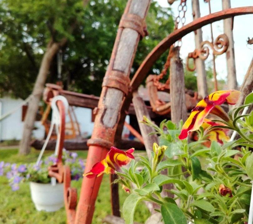 Photo of Others in Palic