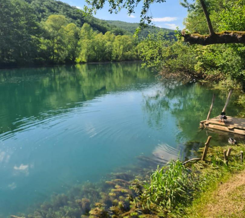 Photo of Others in Bihac