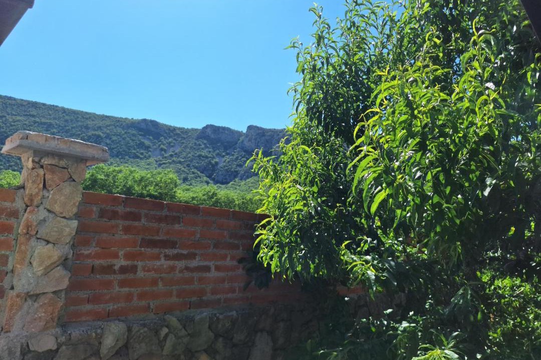 Photo of Others in Slipcici