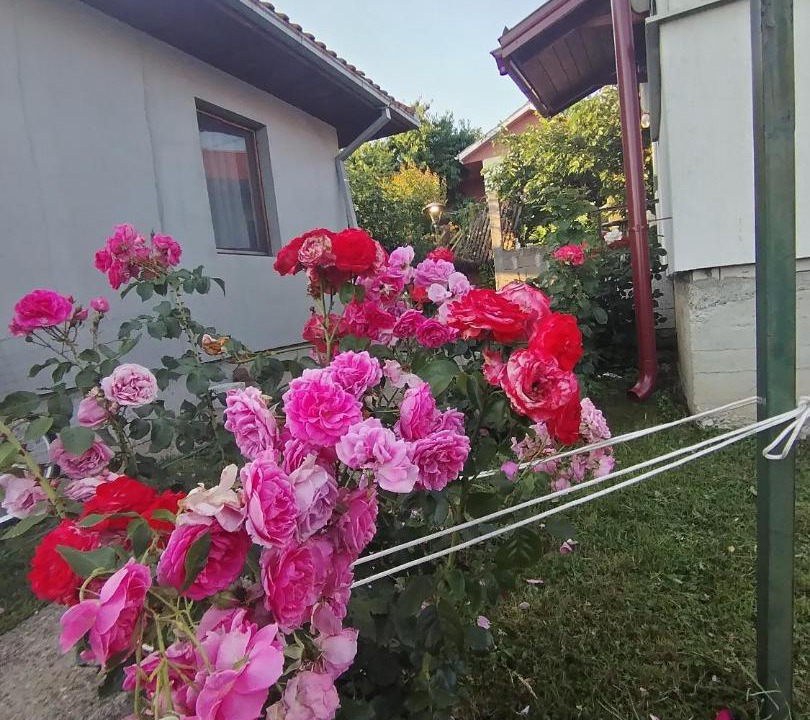 Photo of Others in Rakovica