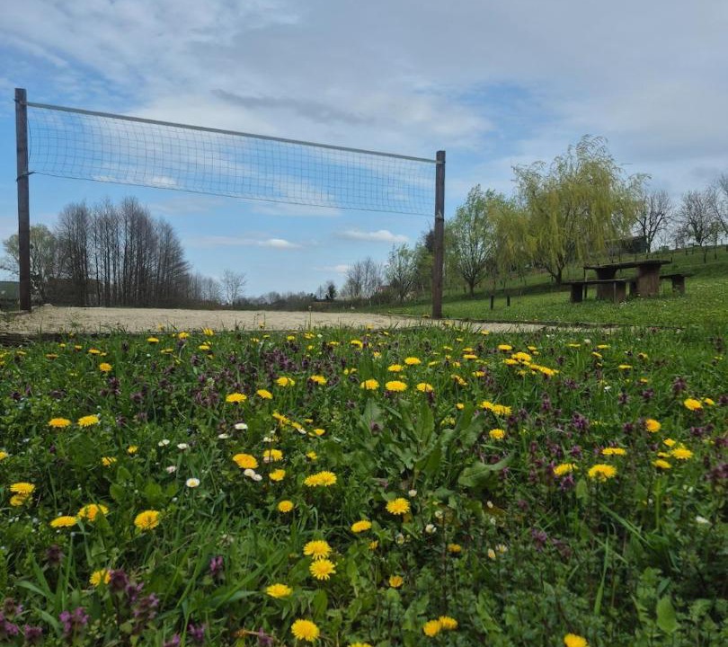 Photo of Others in Varazdin