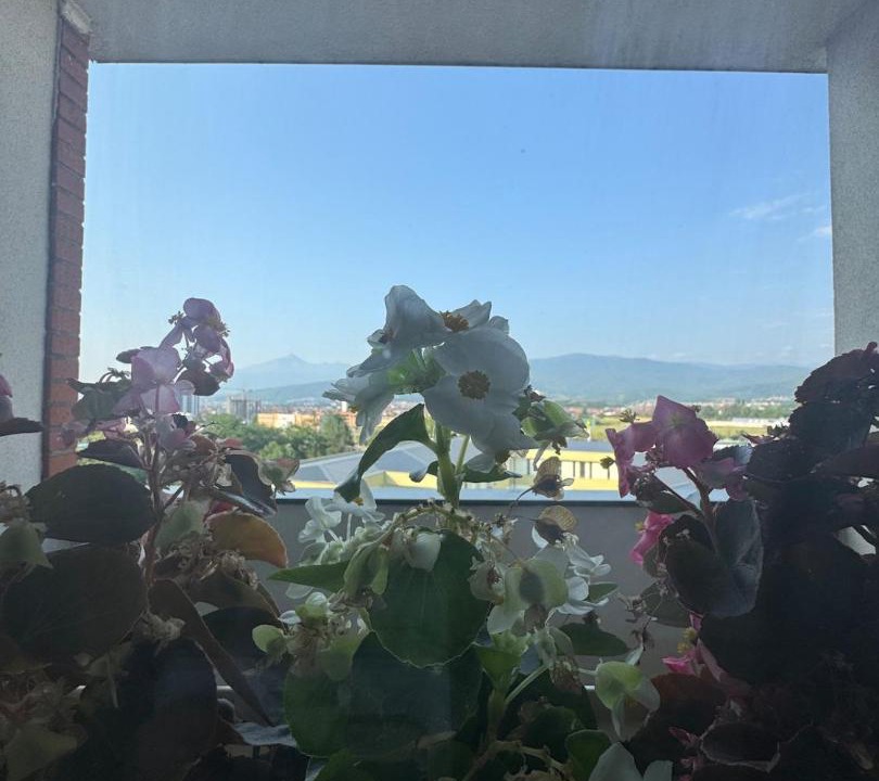 Photo of Others in Jerli Talinovac
