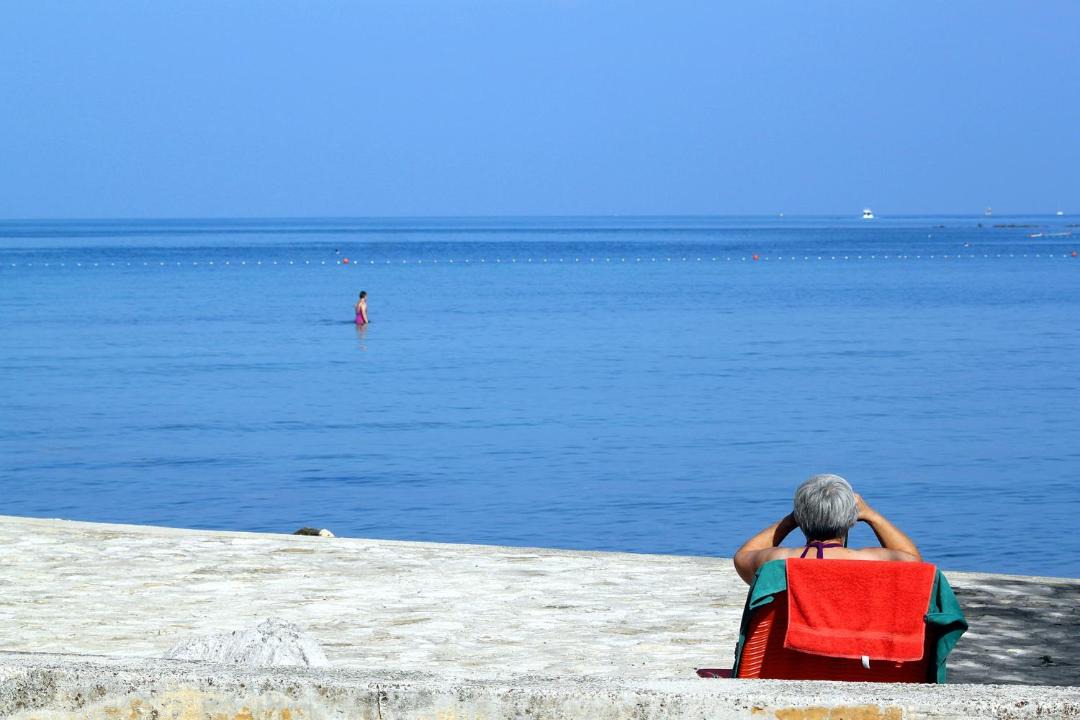 Photo of Others in Murine