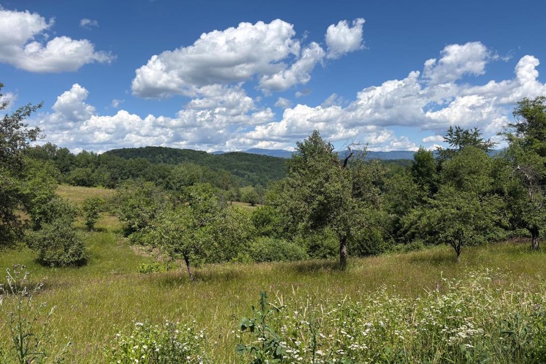 Photo of Others in Varfurile