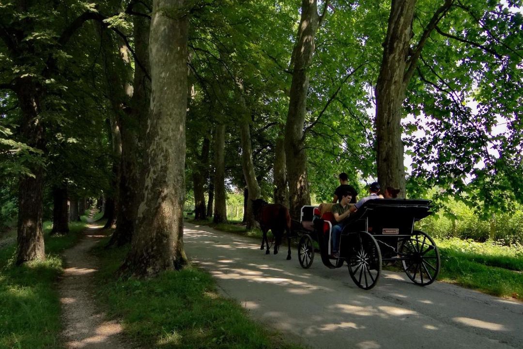 Photo of Others in Ilidza