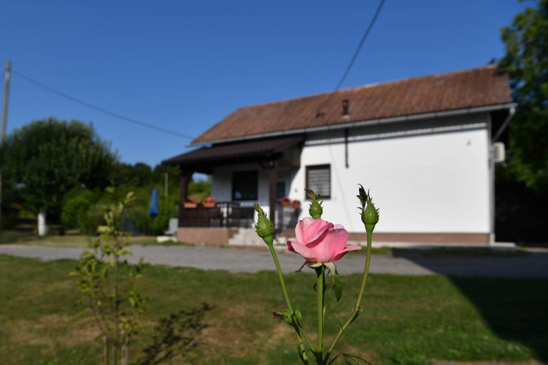 Photo of Others in Irinovac