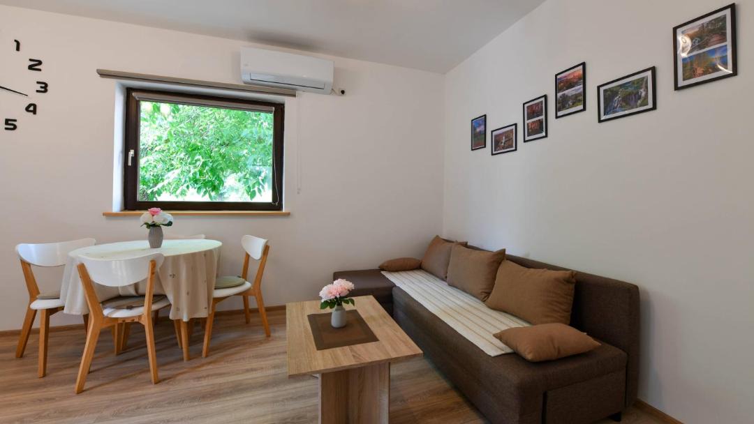 Photo of Livingroom in Irinovac