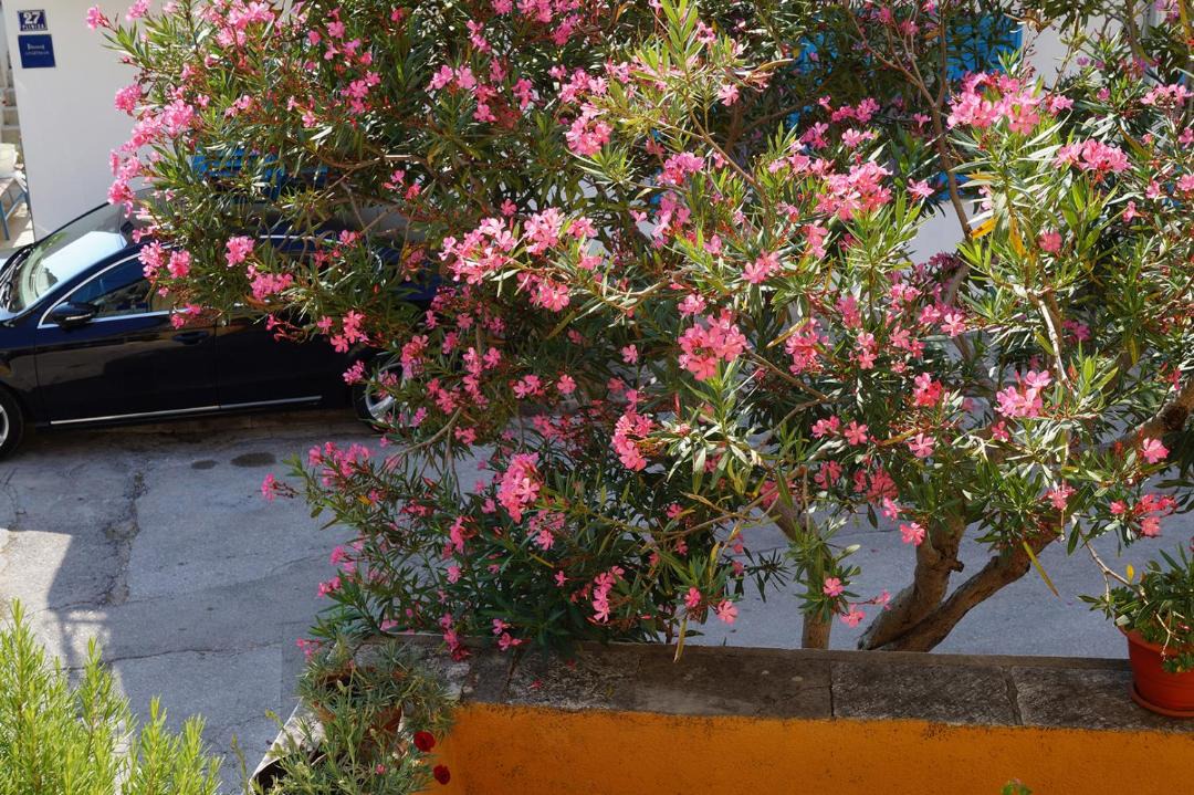 Photo of Others in Vodice