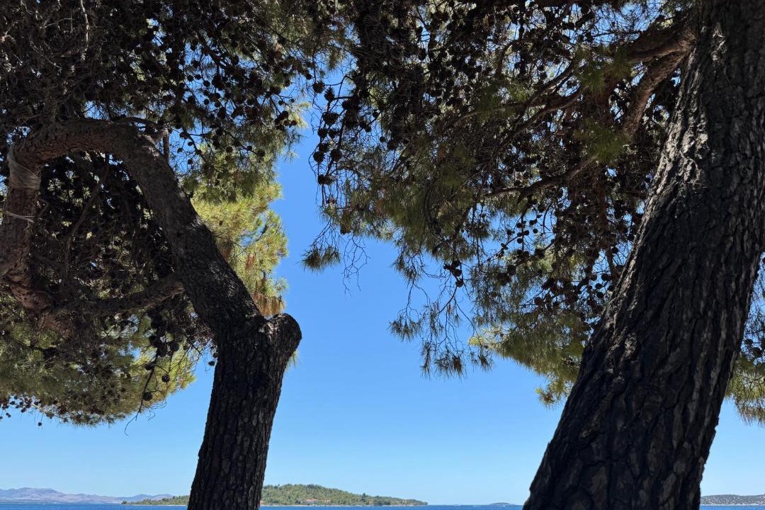 Photo of Others in Vodice