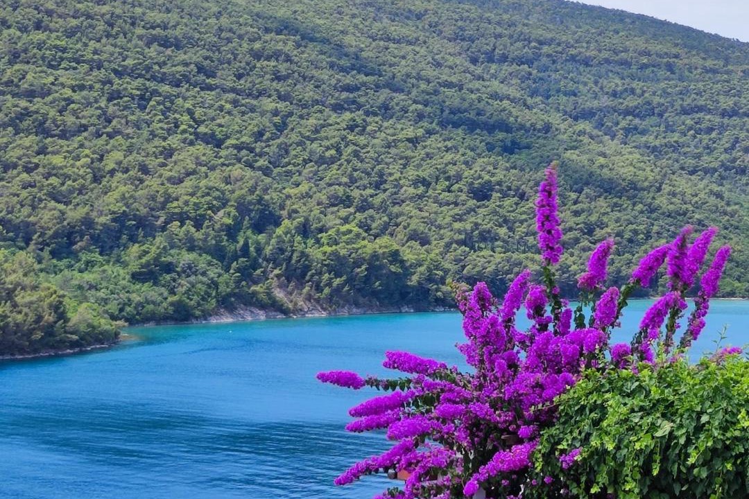 Photo of Others in Duga Luka