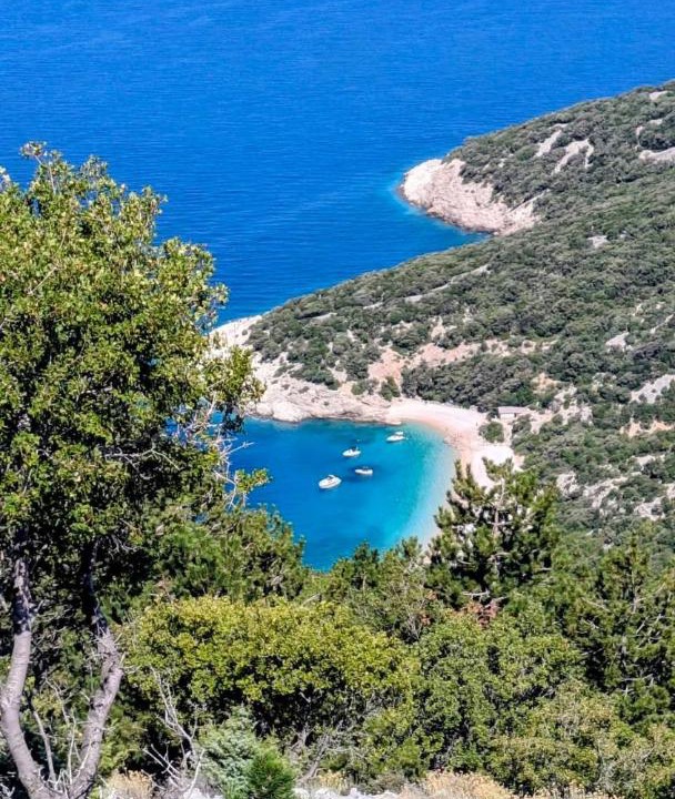 Photo of Others in Cres