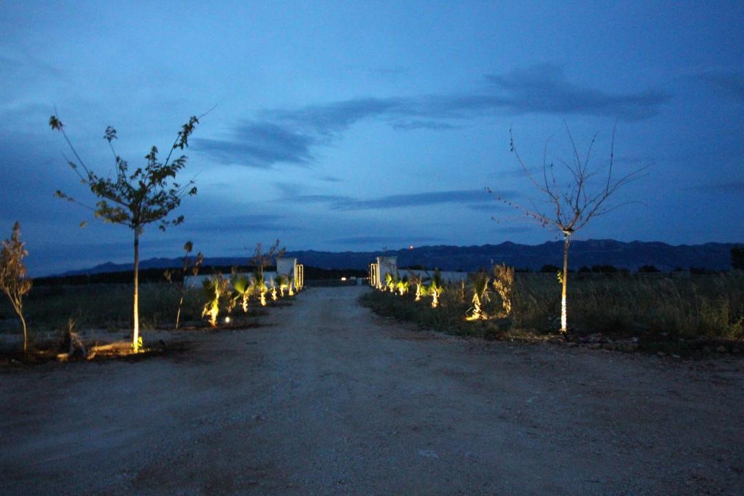 Photo of Others in Novalja