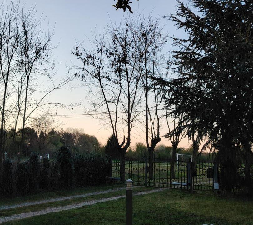 Photo of Others in Belica