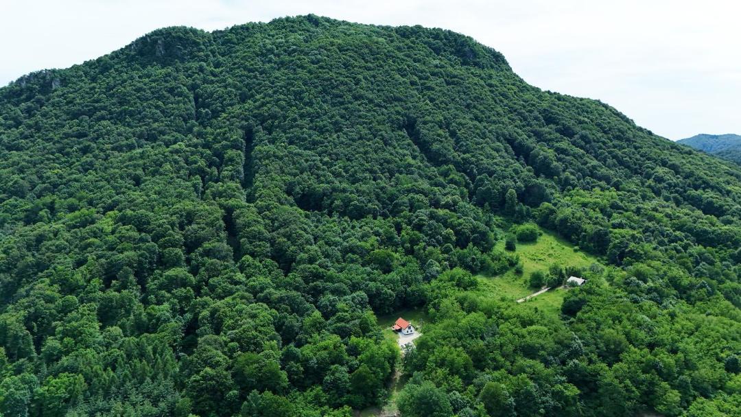 Photo of Others in Novi Marof