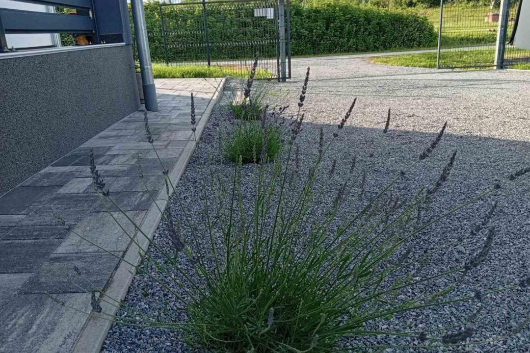 Photo of Outdoor in Lisicine