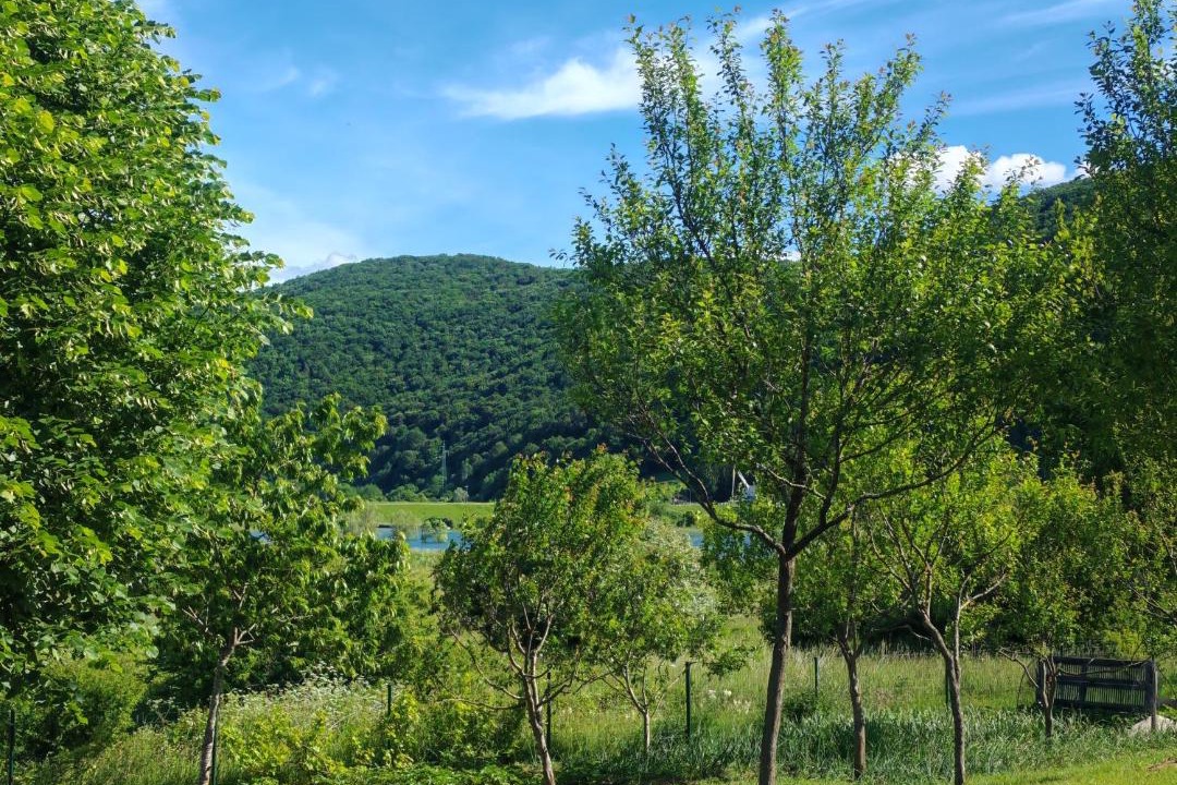 Photo of Outdoor in Brlog