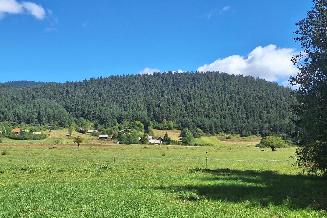 Photo of Others in Vrhovine