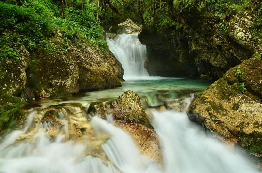 Photo of Others in Bovec