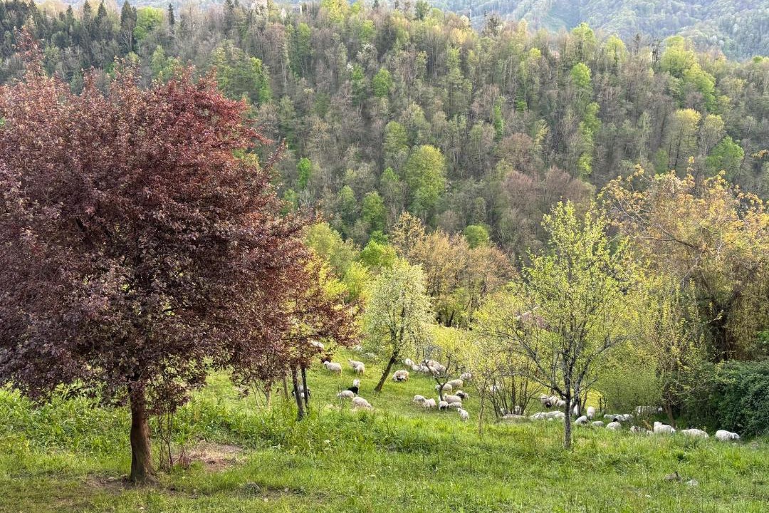 Photo of Outdoor in Kambresko