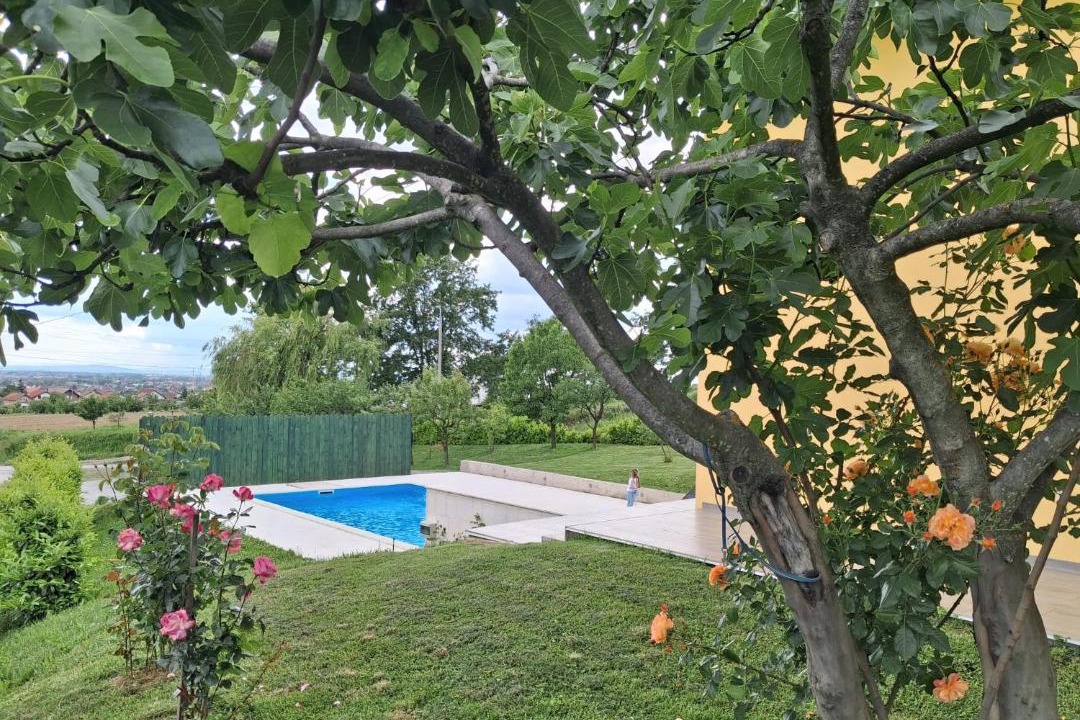 Photo of Others in Bukovlje