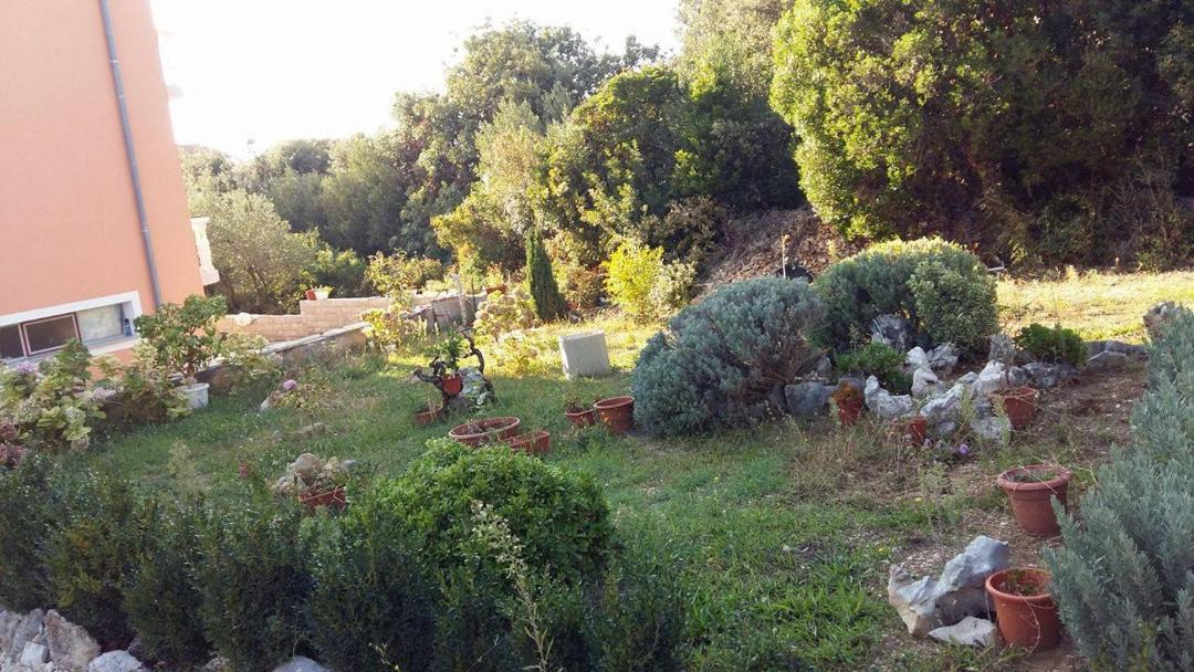 Photo of Others in Brodarica