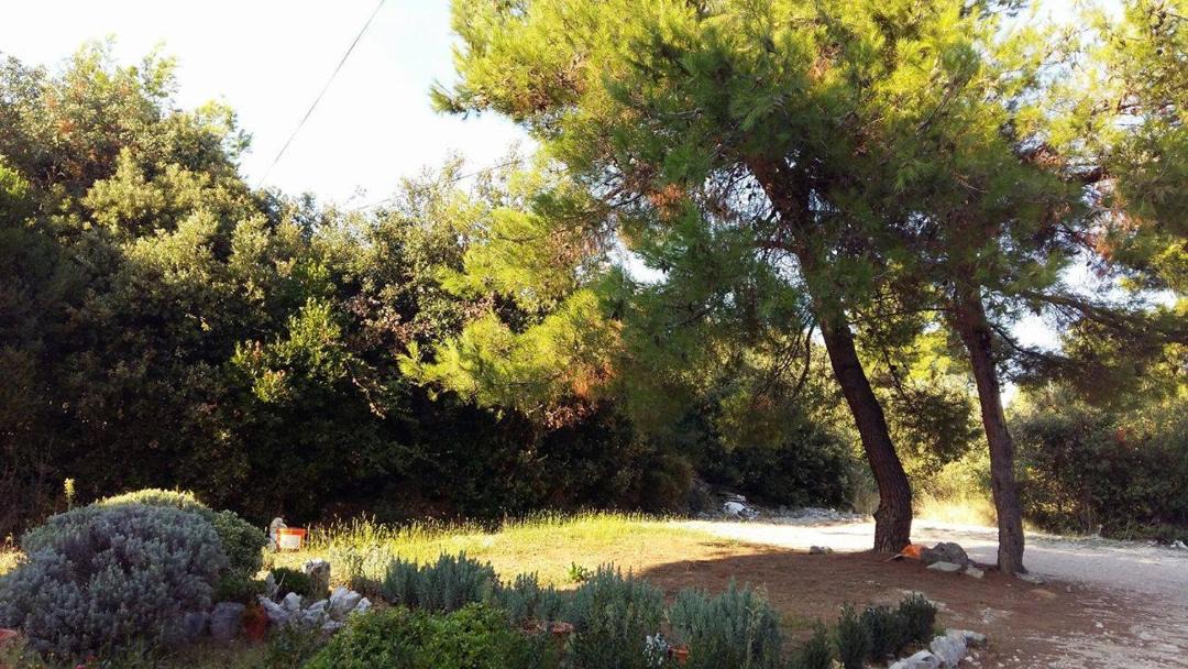 Photo of Others in Brodarica