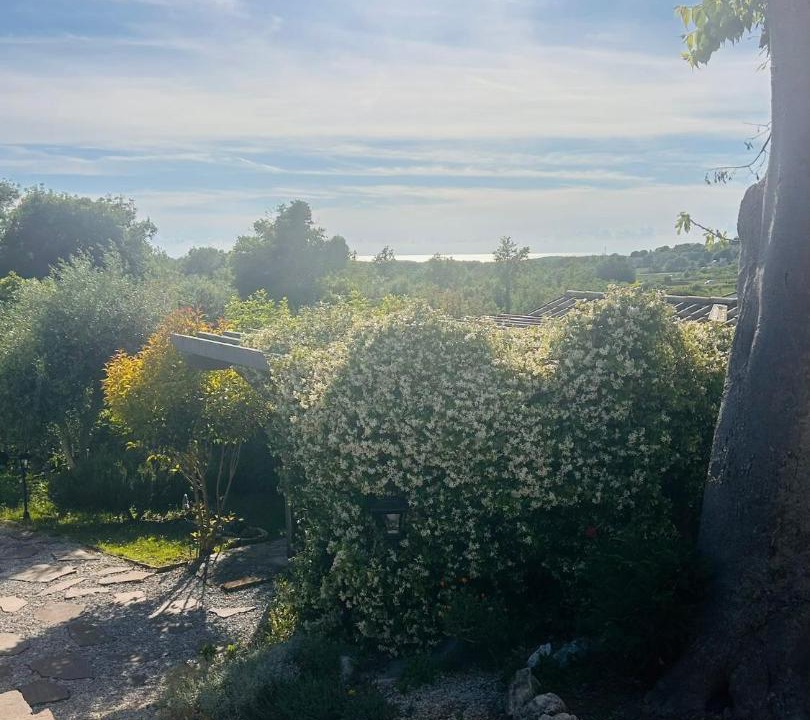 Photo of Others in Jasenovica